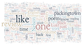 Wordle Word Cloud - Issue 1